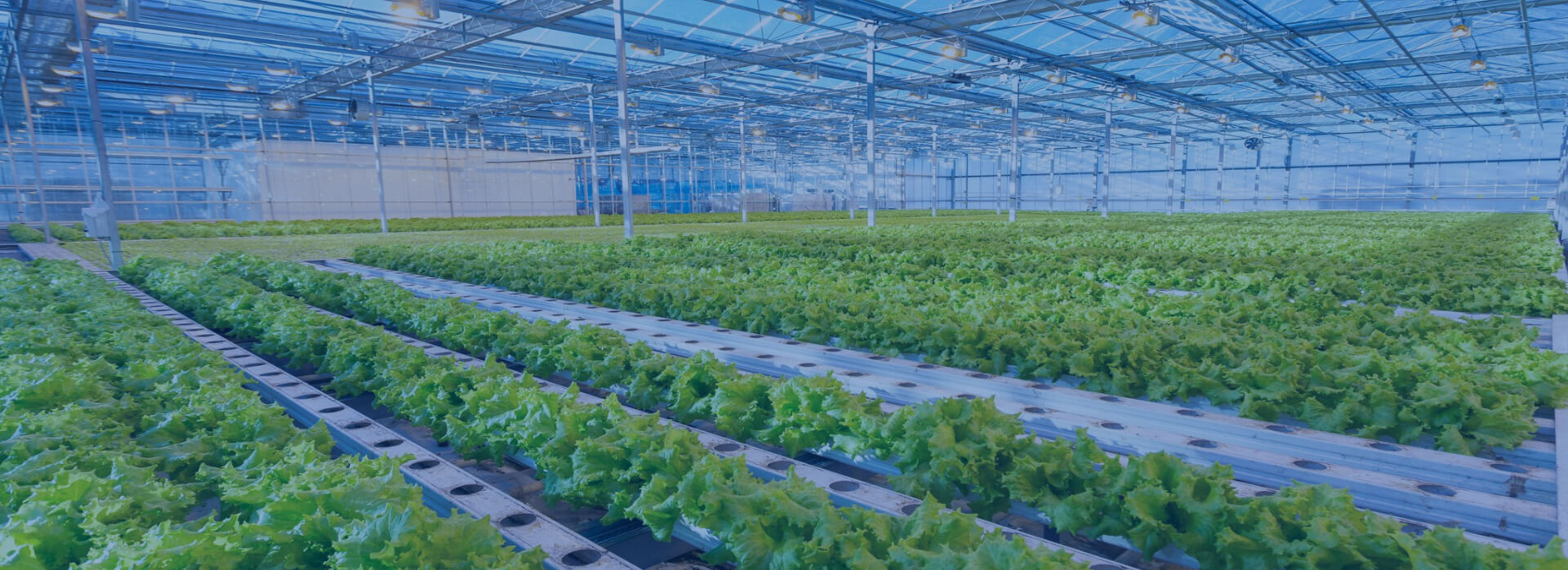 agricultural protection packaging use pp hollow board