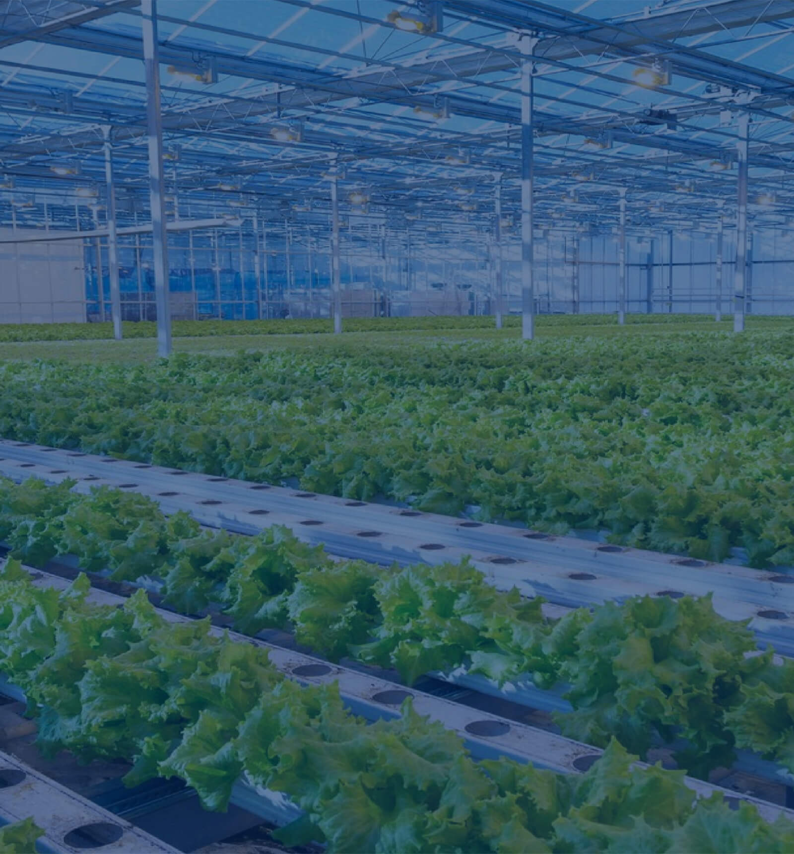 agricultural protection packaging use pp hollow board