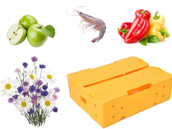 pp plastic packaging box