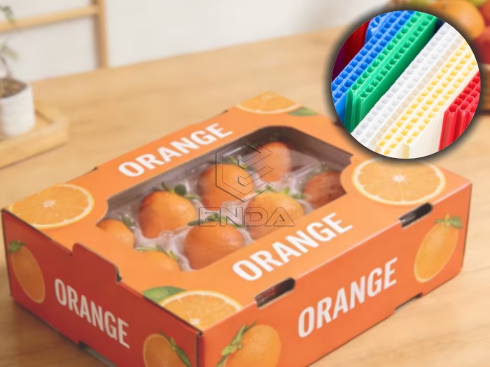 Corrugated Plastic Box: The Best choice for Fruit&Vegetable Packaging