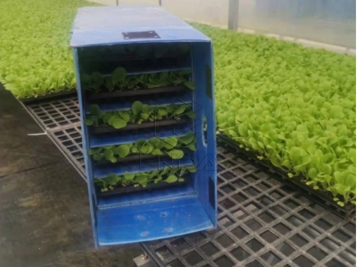 pp plastic seedling box