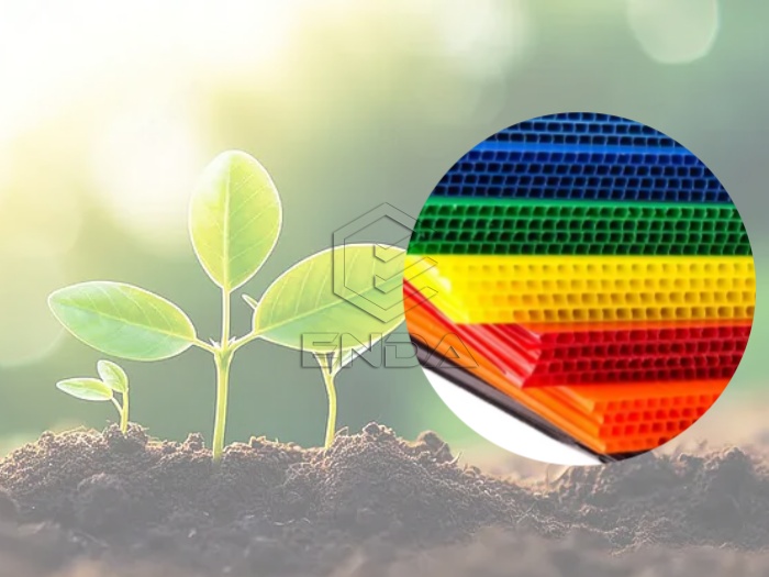 PP Hollow Board：Useful Cheap Protection/Packing Tools for Planting Industry