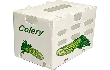 Vegetable Packaging Box