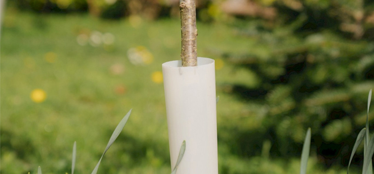 PP plant protector for winter frost protection and seedling care