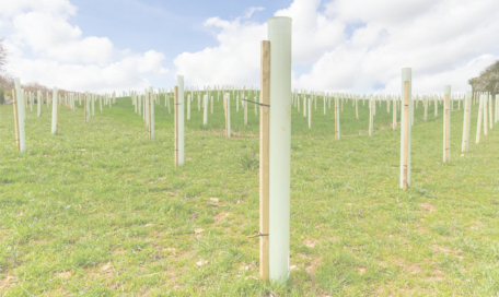 fluted polypropylene tree tubes for greenhouse and indoor farming