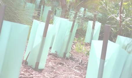 Pp sheets plant protection for orchard and fruit farming