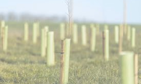 polypropylene plant tubes for home gardening and landscaping