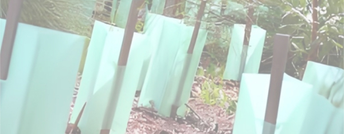Pp sheets plant protection for orchard and fruit farming