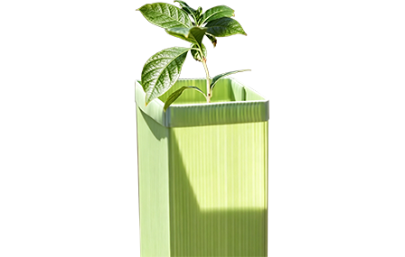 pp plastic plant guards