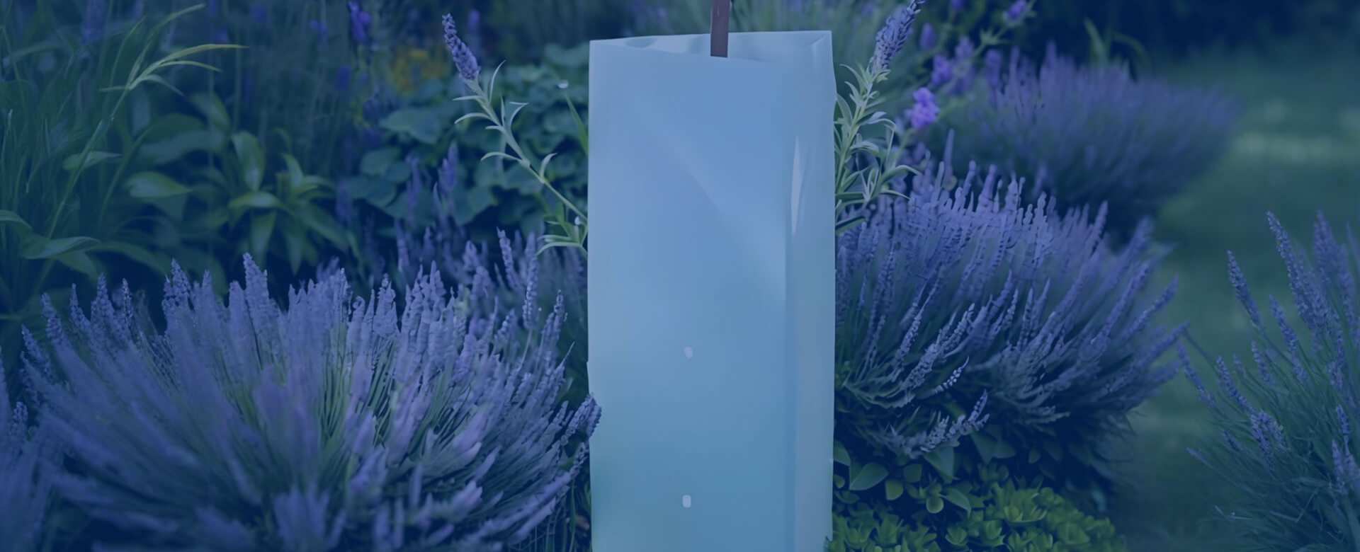 Plastic Tree Plant Protector