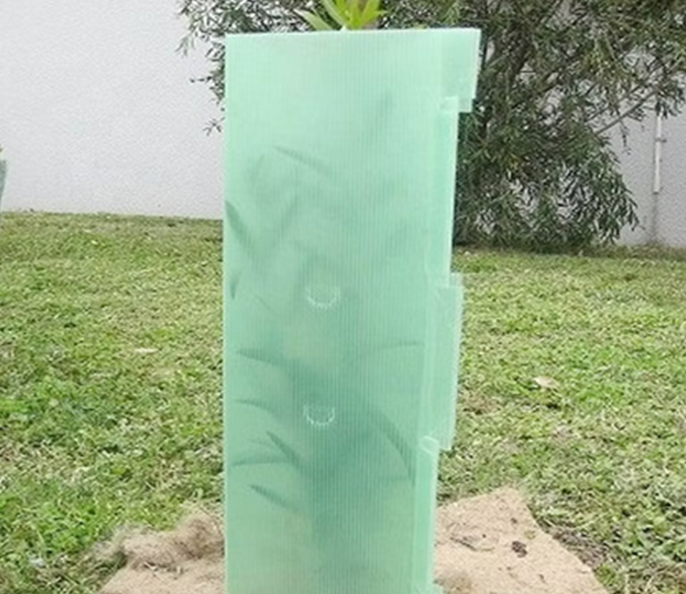 Plant Protection
