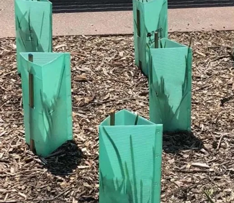 Plant Protection