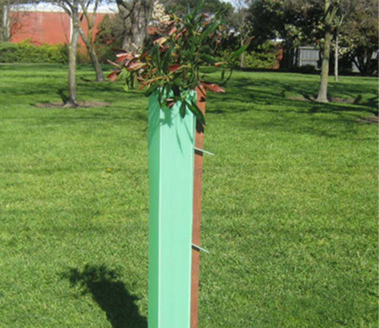 Plant Protection