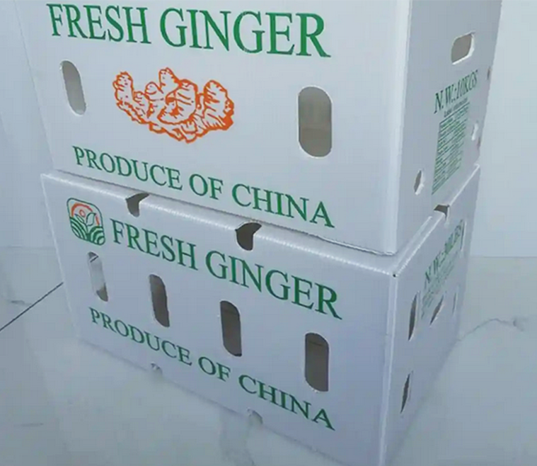 Product Packaging