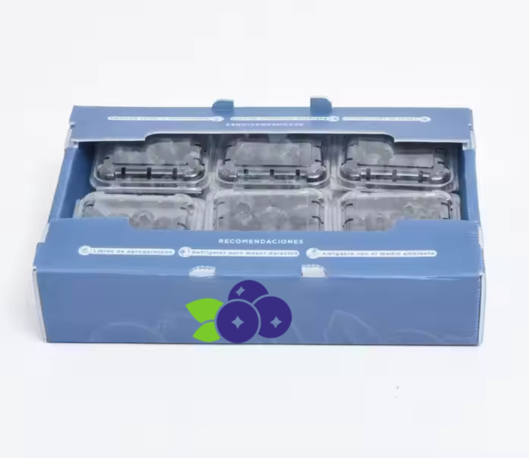 Product Packaging