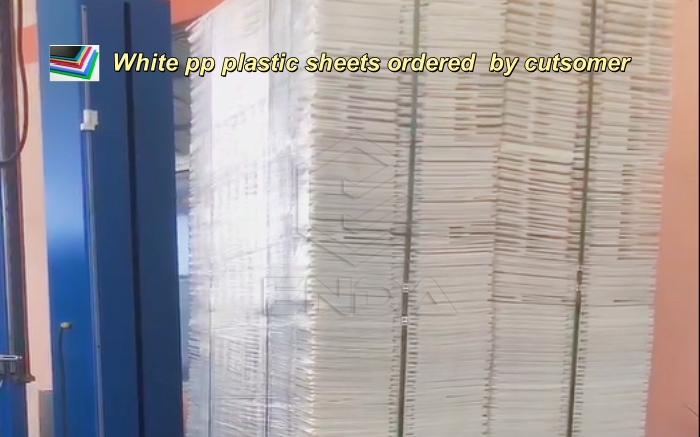 pp plastic sheets wholesale