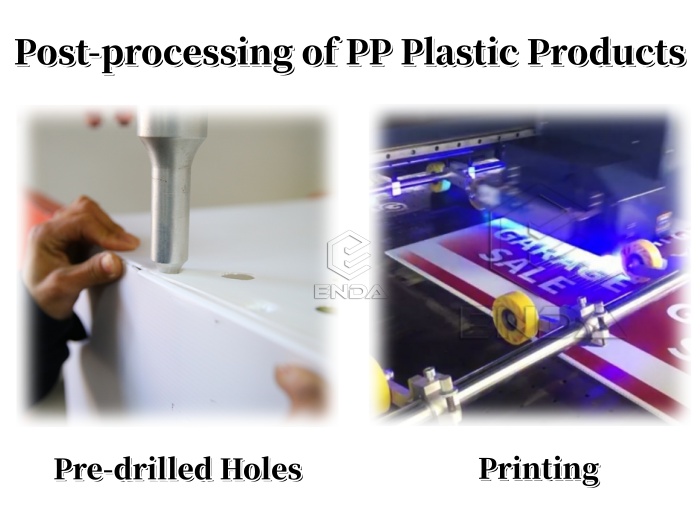 processing of pp plastic sheets
