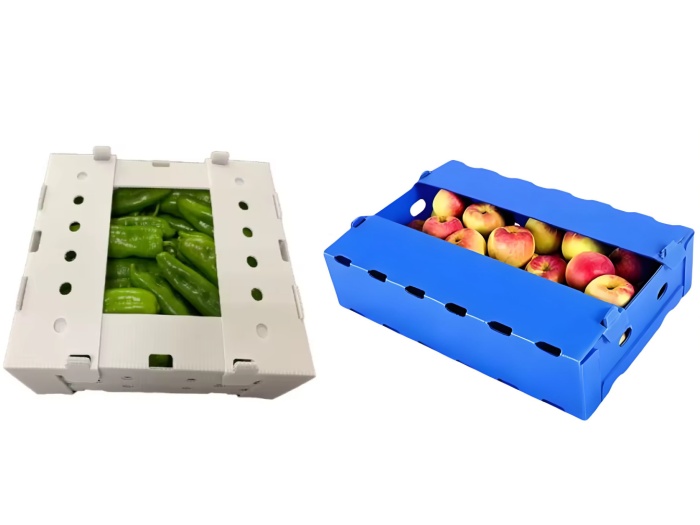 fruit/vegetable packaging box