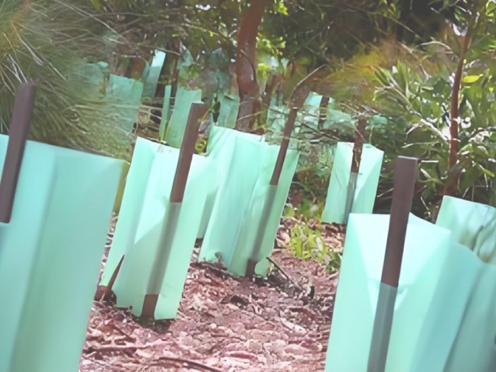 pp plastic plant guards