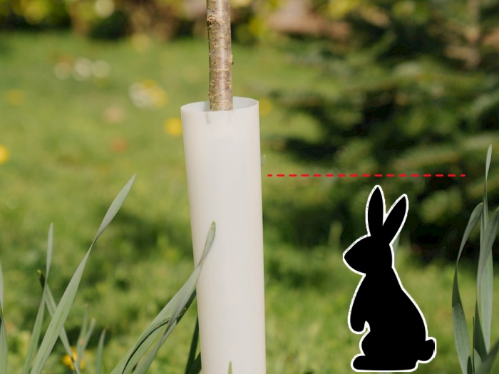 pp plastic tree guard for rabbit